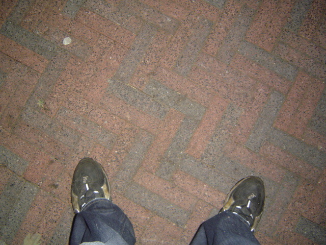 DSC05524.JPG