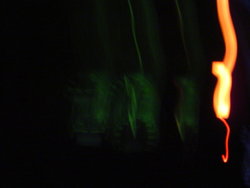 DSC05533.JPG