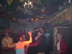 Afbeelding 019