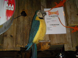 Afbeelding 035
