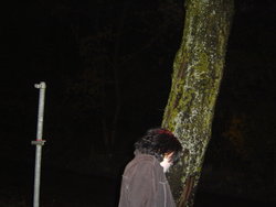 DSC06674.JPG