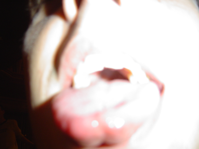 DSC05400.JPG
