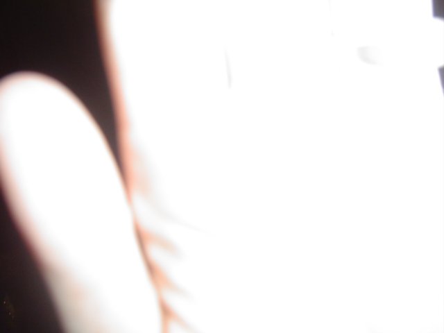 DSC04914.JPG