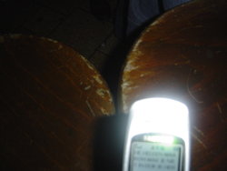 DSC04421.JPG