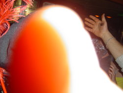 DSC06741