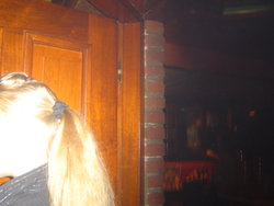 DSC03737.JPG