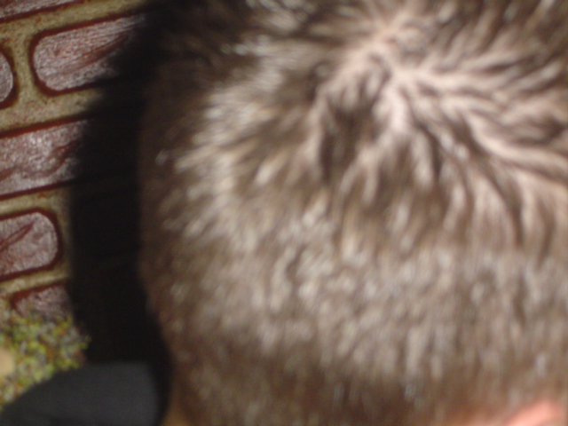 DSC03218.JPG