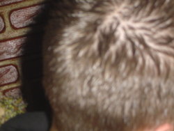 DSC03218.JPG