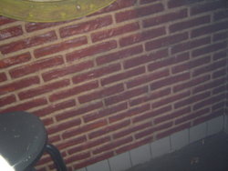 DSC02858.JPG