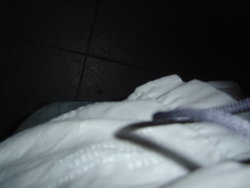 DSC02494.JPG