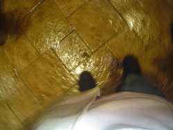 DSC06250.JPG