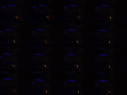 DSC02710.JPG