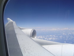 DSC01920.JPG