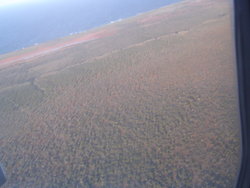 DSC01925.JPG