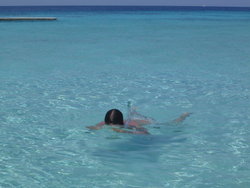 DSC01962.JPG