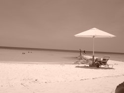 DSC01968.JPG
