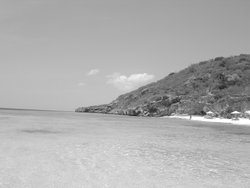 DSC01971.JPG