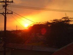DSC01983.JPG