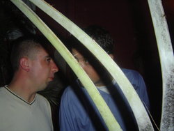DSC02011.JPG