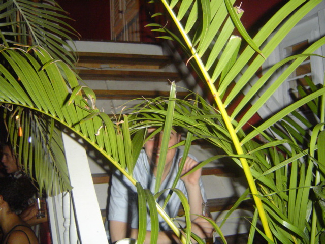 DSC02015.JPG