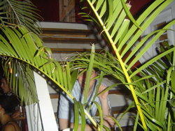 DSC02015.JPG