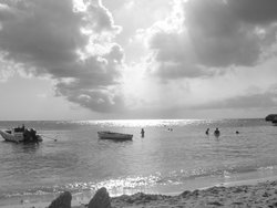 DSC02118.JPG
