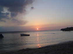 DSC02130.JPG