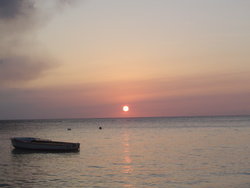 DSC02131.JPG
