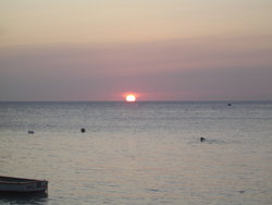 DSC02135.JPG