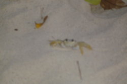 DSC02138.JPG