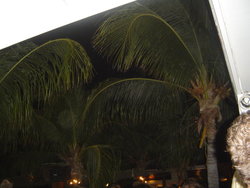 DSC02141.JPG