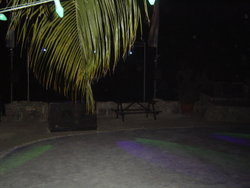 DSC02143.JPG