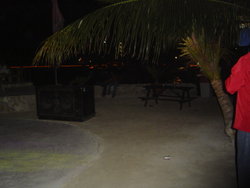 DSC02145.JPG