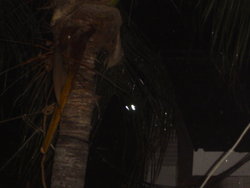 DSC02174.JPG