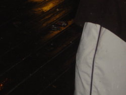 DSC02175.JPG