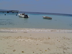 DSC02254.JPG