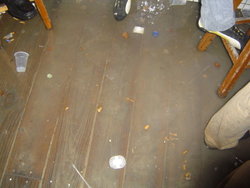 DSC02206.JPG