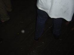 DSC02208.JPG