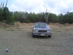 DSC02217.JPG