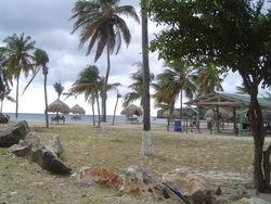 DSC02222.JPG