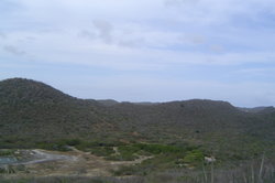 DSC02228.JPG