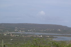 DSC02231.JPG