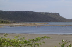 DSC02235.JPG