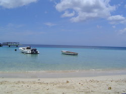 DSC02253.JPG
