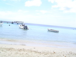 DSC02255.JPG