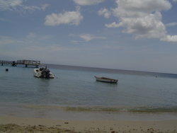 DSC02256.JPG