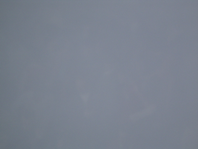 DSC01713.JPG
