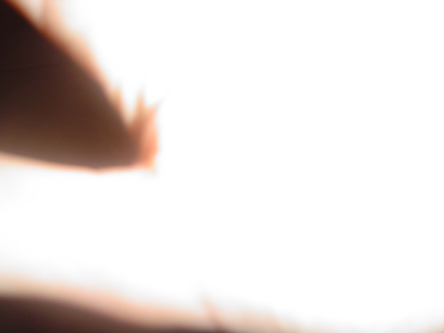 DSC01810.JPG