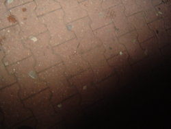 DSC01909.JPG