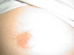 DSC01203.JPG